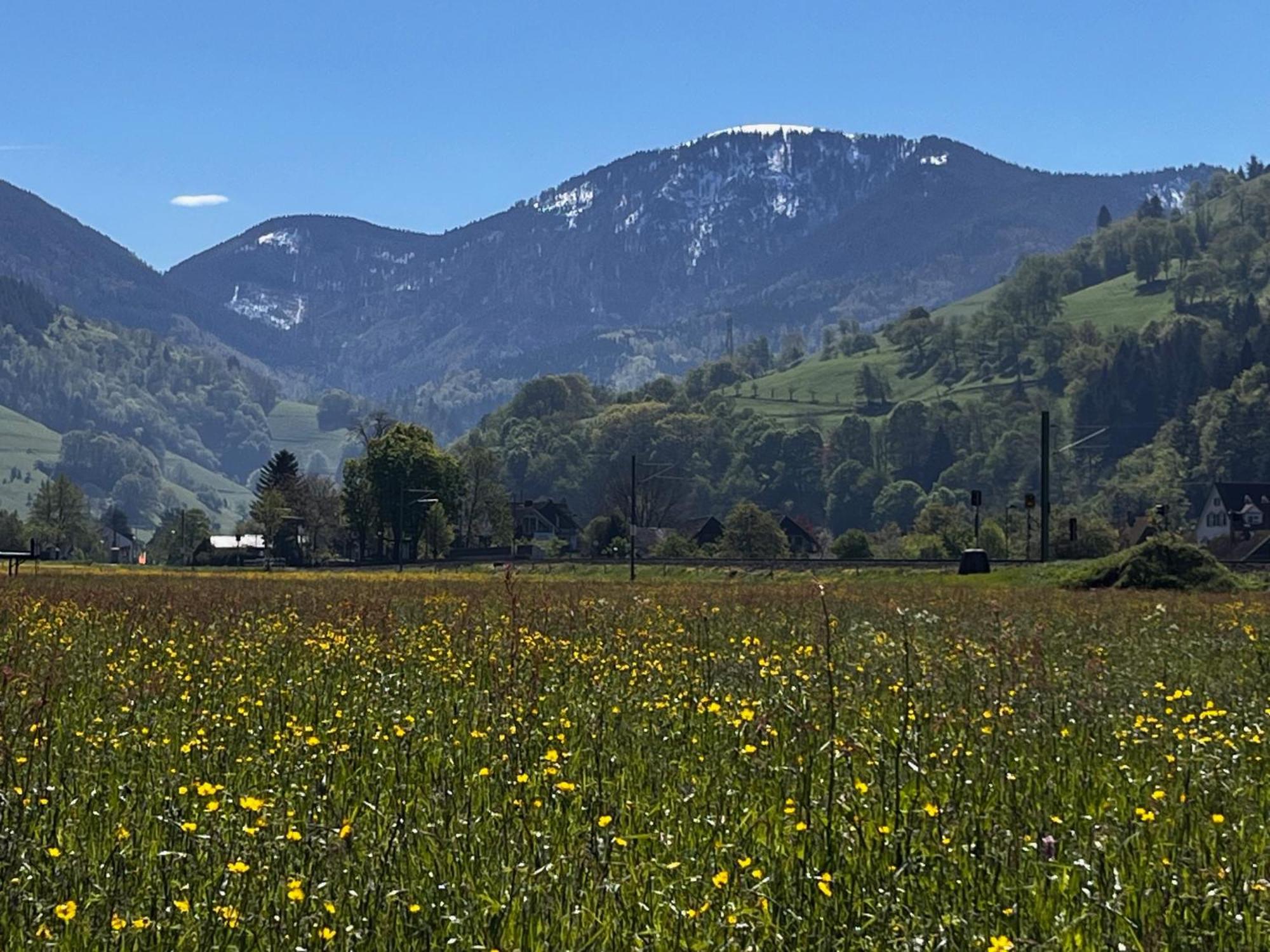 Gaestezimmer Münstertal Εξωτερικό φωτογραφία